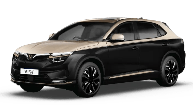 Xe 4 chỗ VF8