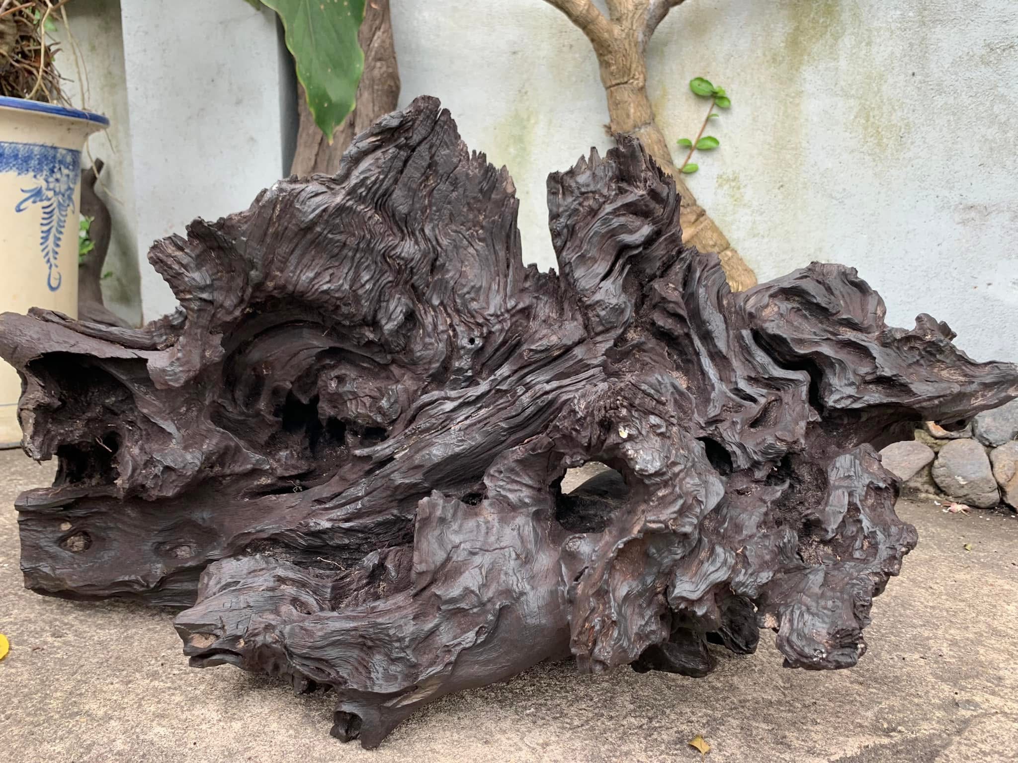 Toàn cảnh xưởng